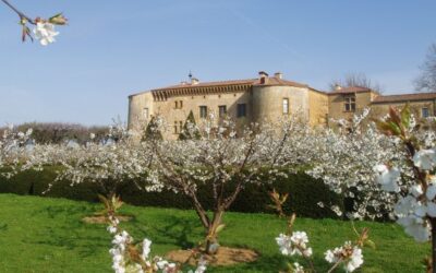 Votre séminaire Teambuilding au Château de Bagnols en Beaujolais !